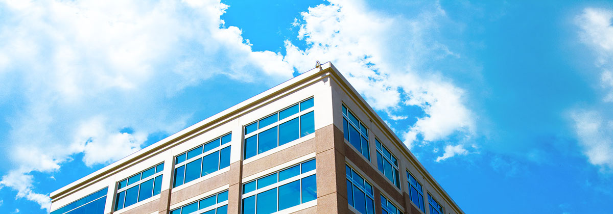 企业破解版的ddos网页版